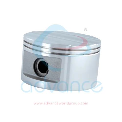 pst-1001-6fs-piston-kit