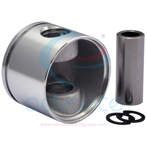 pst-1019-d