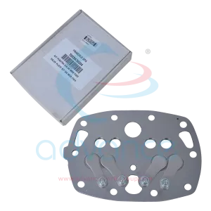 plt-19021-a