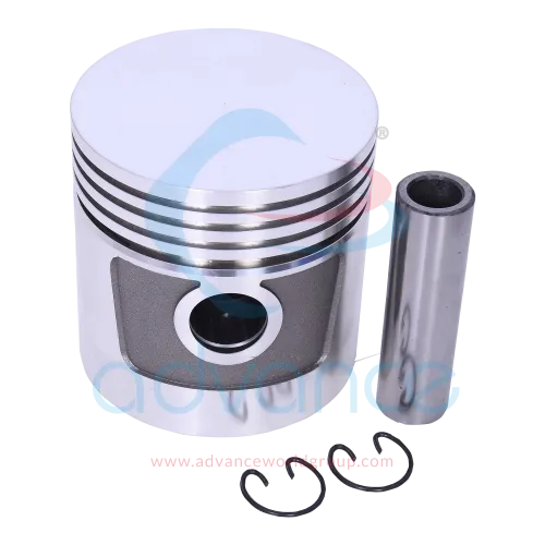 pst-25101-b