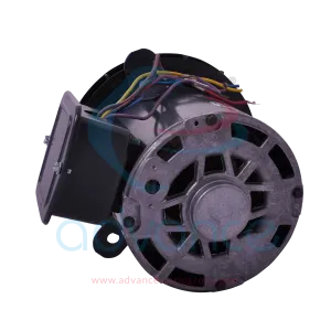 mot-3012